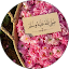 رجاء يحيى