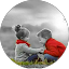 حلم شاعر