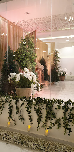 Alia Studio