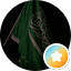Saif M