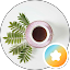 رشاء مبروك