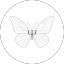 atheer