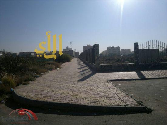 رأي حول حي الرصراص 1 رأي شامل عن حي الرصراص: مميزاته وعيوبه وأسعار العقارات 2024